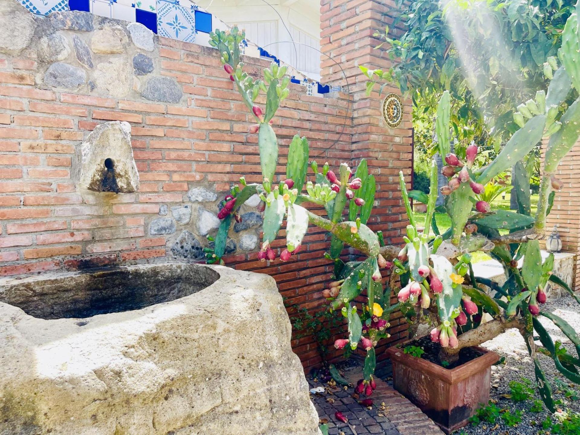 Bed and Breakfast Borgo Camicia In Barcellona-Pozzo di Gotto Zewnętrze zdjęcie